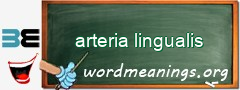 WordMeaning blackboard for arteria lingualis